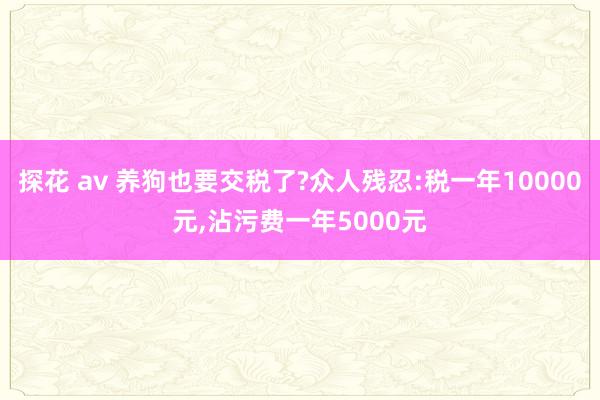 探花 av 养狗也要交税了?众人残忍:税一年10000元,沾污费一年5000元