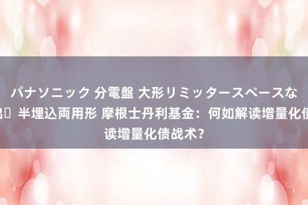 パナソニック 分電盤 大形リミッタースペースなし 露出・半埋込両用形 摩根士丹利基金：何如解读增量化债战术？