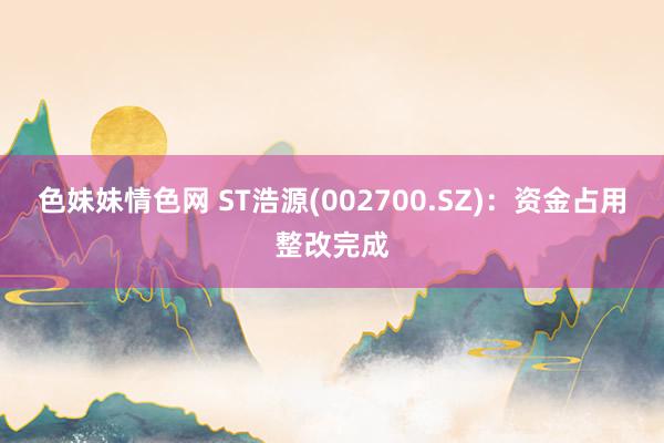 色妹妹情色网 ST浩源(002700.SZ)：资金占用整改完成