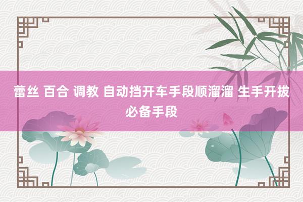 蕾丝 百合 调教 自动挡开车手段顺溜溜 生手开拔必备手段
