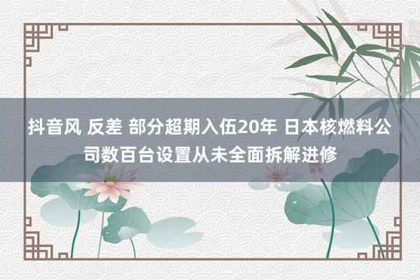 抖音风 反差 部分超期入伍20年 日本核燃料公司数百台设置从未全面拆解进修