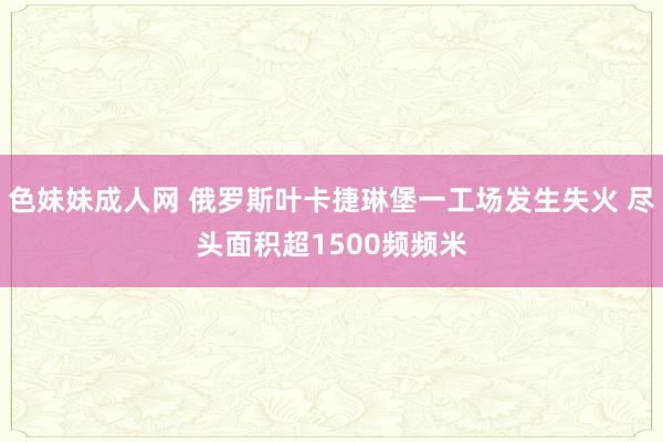 色妹妹成人网 俄罗斯叶卡捷琳堡一工场发生失火 尽头面积超1500频频米