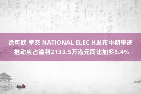 徐可欣 拳交 NATIONAL ELEC H发布中期事迹 推动应占溢利2133.5万港元同比加多5.4%