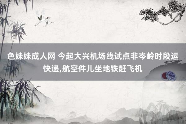 色妹妹成人网 今起大兴机场线试点非岑岭时段运快递,航空件儿坐地铁赶飞机