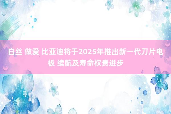 白丝 做爱 比亚迪将于2025年推出新一代刀片电板 续航及寿命权贵进步