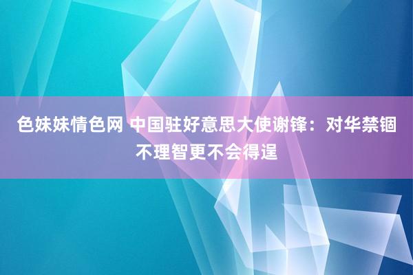 色妹妹情色网 中国驻好意思大使谢锋：对华禁锢不理智更不会得逞
