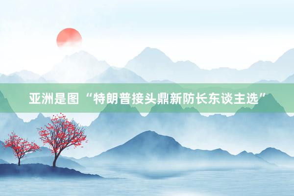 亚洲是图 “特朗普接头鼎新防长东谈主选”