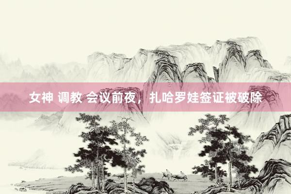 女神 调教 会议前夜，扎哈罗娃签证被破除