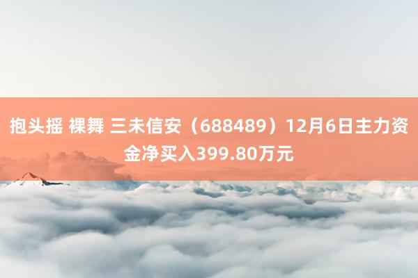 抱头摇 裸舞 三未信安（688489）12月6日主力资金净买入399.80万元