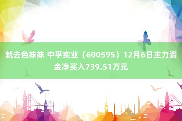 就去色妹妹 中孚实业（600595）12月6日主力资金净买入739.51万元