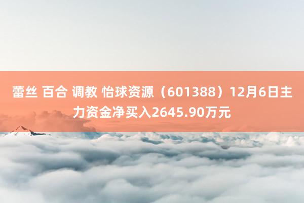 蕾丝 百合 调教 怡球资源（601388）12月6日主力资金净买入2645.90万元