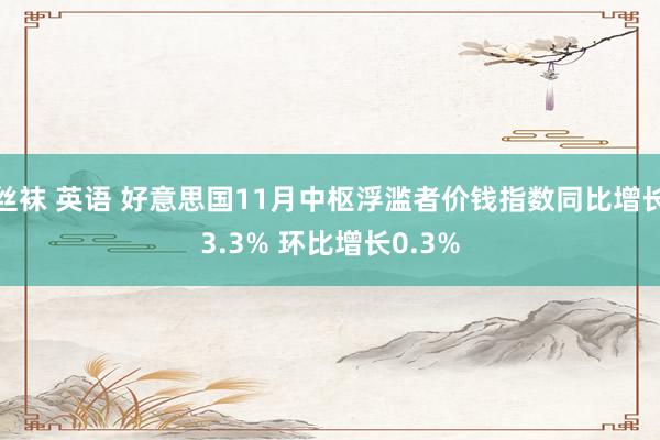 丝袜 英语 好意思国11月中枢浮滥者价钱指数同比增长3.3% 环比增长0.3%