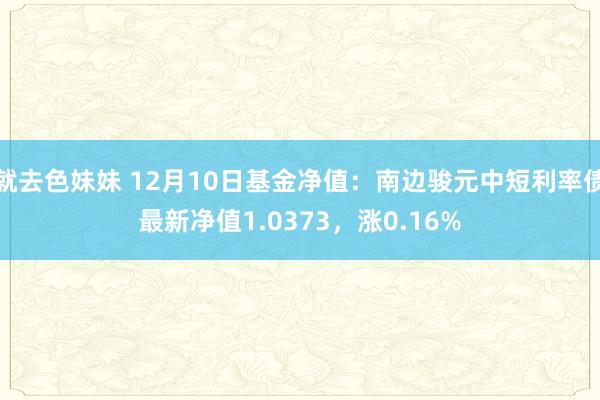 就去色妹妹 12月10日基金净值：南边骏元中短利率债最新净值1.0373，涨0.16%