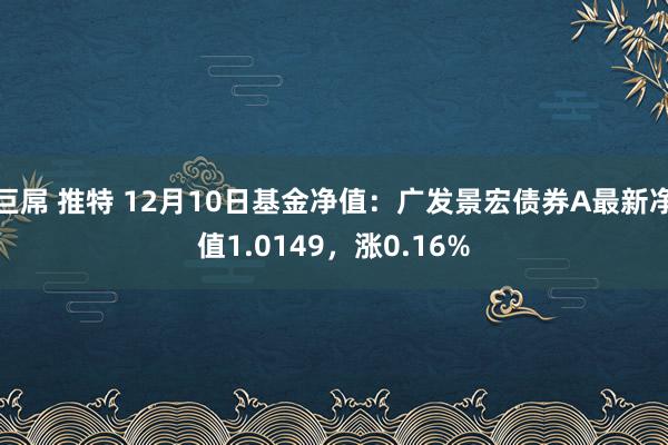 巨屌 推特 12月10日基金净值：广发景宏债券A最新净值1.0149，涨0.16%