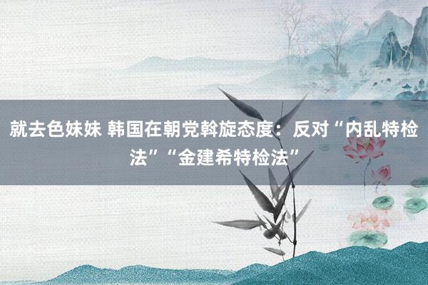 就去色妹妹 韩国在朝党斡旋态度：反对“内乱特检法”“金建希特检法”