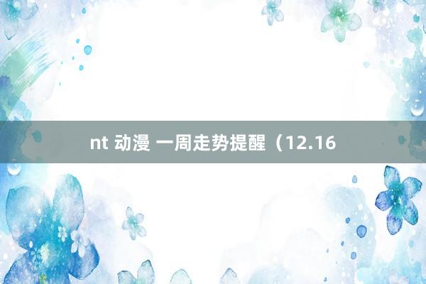 nt 动漫 一周走势提醒（12.16
