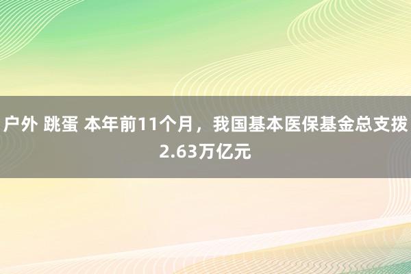 户外 跳蛋 本年前11个月，我国基本医保基金总支拨2.63万亿元