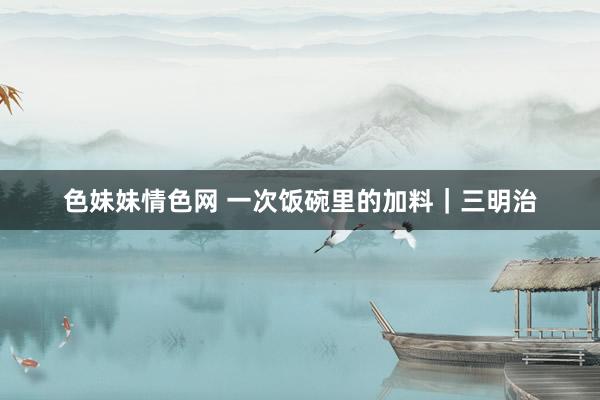 色妹妹情色网 一次饭碗里的加料｜三明治