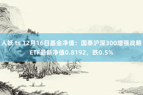 人妖 ts 12月16日基金净值：国泰沪深300增强战略ETF最新净值0.8192，跌0.5%