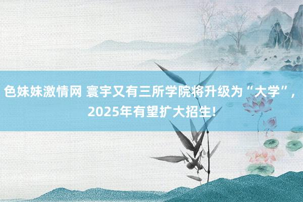 色妹妹激情网 寰宇又有三所学院将升级为“大学”, 2025年有望扩大招生!