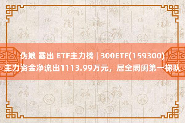 伪娘 露出 ETF主力榜 | 300ETF(159300)主力资金净流出1113.99万元，居全阛阓第一梯队