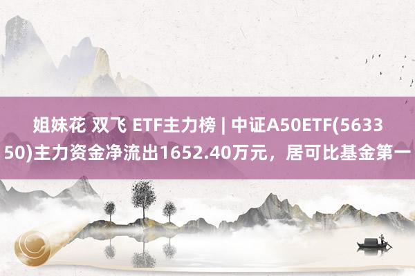姐妹花 双飞 ETF主力榜 | 中证A50ETF(563350)主力资金净流出1652.40万元，居可比基金第一