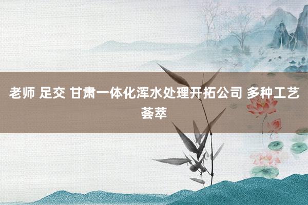 老师 足交 甘肃一体化浑水处理开拓公司 多种工艺荟萃