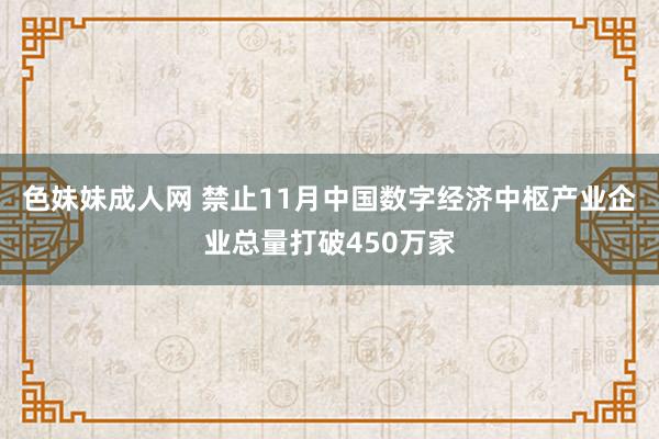 色妹妹成人网 禁止11月中国数字经济中枢产业企业总量打破450万家