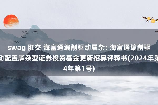 swag 肛交 海富通编削驱动羼杂: 海富通编削驱动生动配置羼杂型证券投资基金更新招募评释书(2024年第1号)