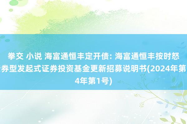 拳交 小说 海富通恒丰定开债: 海富通恒丰按时怒放债券型发起式证券投资基金更新招募说明书(2024年第1号)