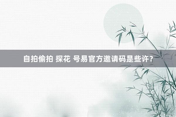 自拍偷拍 探花 号易官方邀请码是些许？