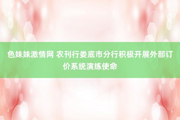 色妹妹激情网 农刊行娄底市分行积极开展外部订价系统演练使命
