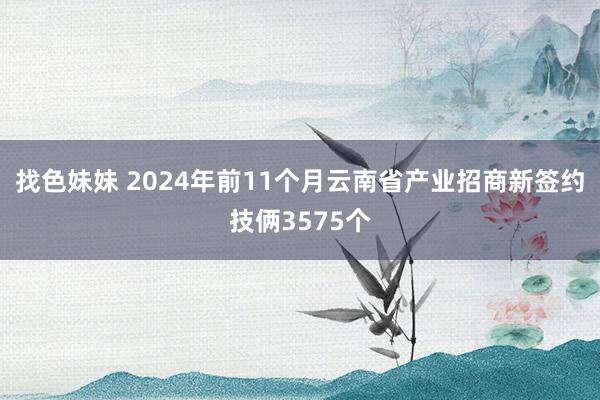 找色妹妹 2024年前11个月云南省产业招商新签约技俩3575个