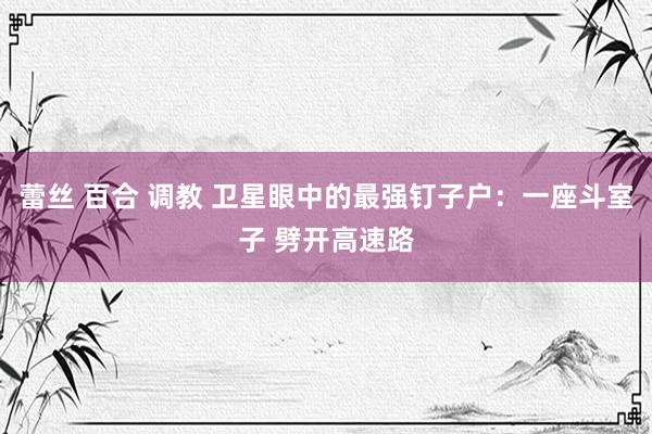 蕾丝 百合 调教 卫星眼中的最强钉子户：一座斗室子 劈开高速路