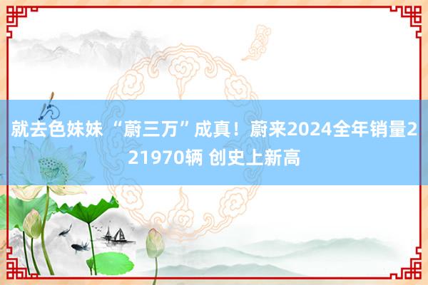 就去色妹妹 “蔚三万”成真！蔚来2024全年销量221970辆 创史上新高