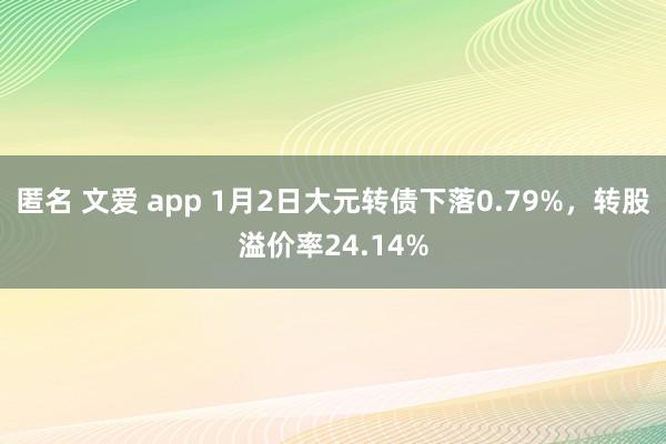 匿名 文爱 app 1月2日大元转债下落0.79%，转股溢价率24.14%