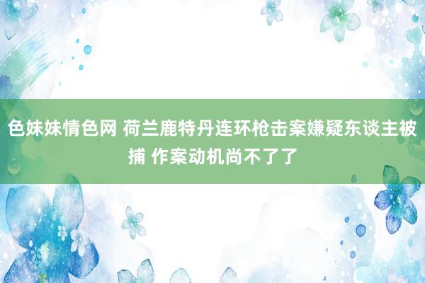 色妹妹情色网 荷兰鹿特丹连环枪击案嫌疑东谈主被捕 作案动机尚不了了