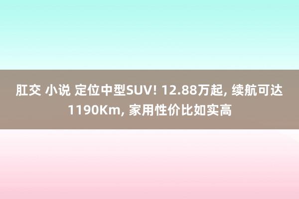 肛交 小说 定位中型SUV! 12.88万起, 续航可达1190Km, 家用性价比如实高