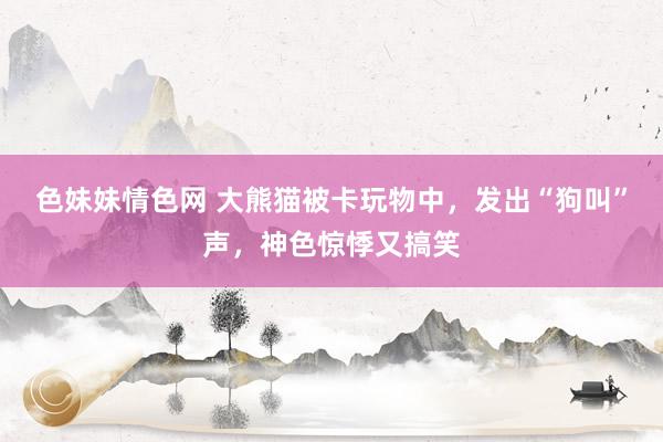 色妹妹情色网 大熊猫被卡玩物中，发出“狗叫”声，神色惊悸又搞笑
