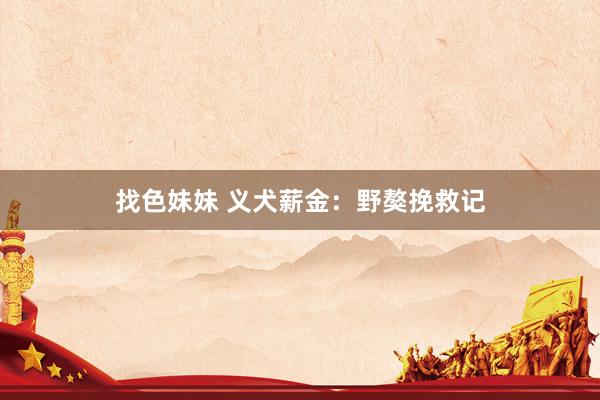 找色妹妹 义犬薪金：野獒挽救记