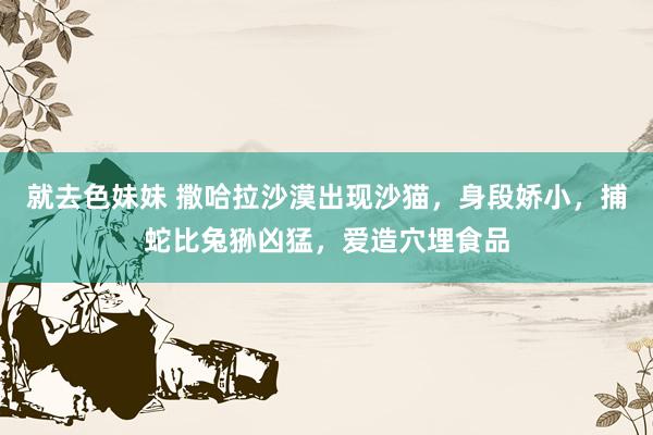 就去色妹妹 撒哈拉沙漠出现沙猫，身段娇小，捕蛇比兔狲凶猛，爱造穴埋食品