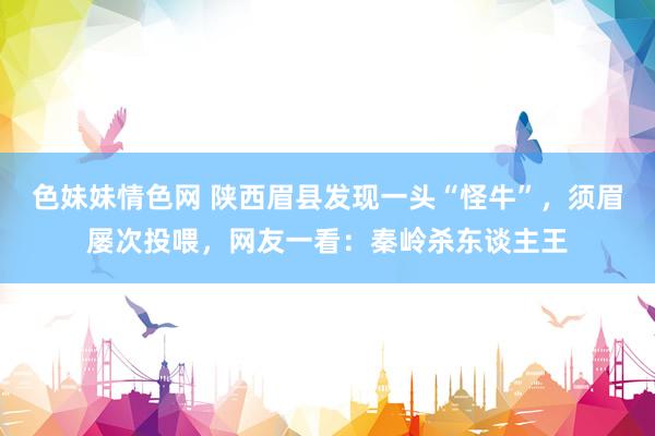 色妹妹情色网 陕西眉县发现一头“怪牛”，须眉屡次投喂，网友一看：秦岭杀东谈主王