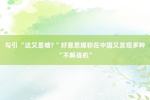 勾引 “这又是啥? ”好意思媒称在中国又发现多种“不解战机”