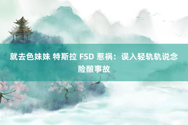 就去色妹妹 特斯拉 FSD 惹祸：误入轻轨轨说念险酿事故
