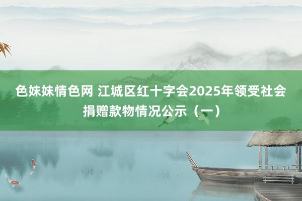 色妹妹情色网 江城区红十字会2025年领受社会捐赠款物情况公示（一）