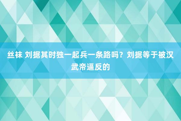 丝袜 刘据其时独一起兵一条路吗？刘据等于被汉武帝逼反的