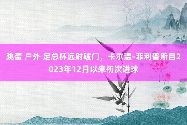 跳蛋 户外 足总杯远射破门，卡尔温-菲利普斯自2023年12月以来初次进球