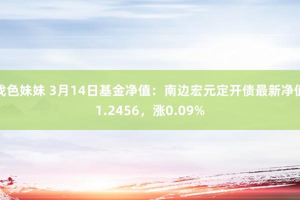 找色妹妹 3月14日基金净值：南边宏元定开债最新净值1.2456，涨0.09%
