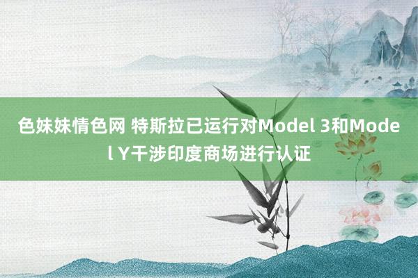 色妹妹情色网 特斯拉已运行对Model 3和Model Y干涉印度商场进行认证