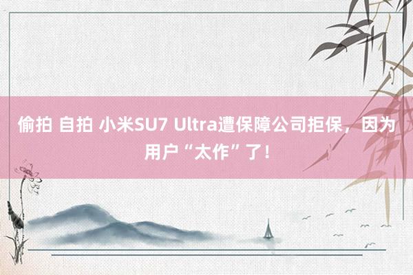 偷拍 自拍 小米SU7 Ultra遭保障公司拒保，因为用户“太作”了！